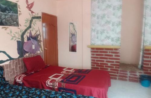 Comitan de Dominguez House | Hospedaje los foraneos