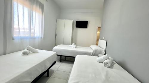 La Victoria House | Hostal Carlos III