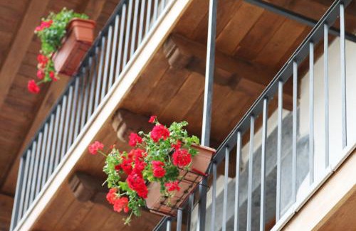 Leitza House | Hostal-Cicloturismo Lopenea