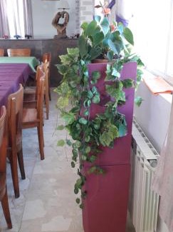 Matallana de Valmadrigal Bed & Breakfast | Hostal El Tropezón