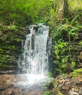 Ezkurra House | Hostal Ezkurra