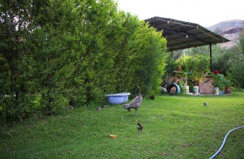 Caraz Cabin | Hostel "La Casa de Ricky"