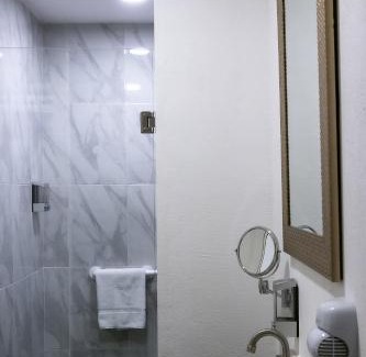 Dolores Hidalgo Cuna de la Independencia Nacional Hotel | Hotel Arthemisa