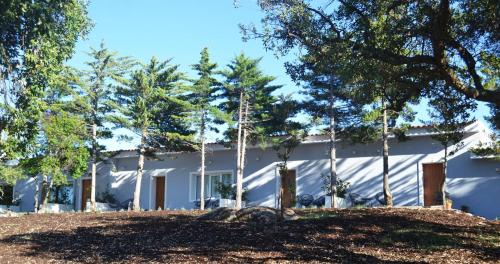 Castelo Branco Hotel | Hotel Campo do Rosmaninho