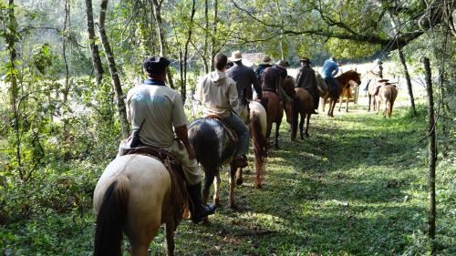 Tibagi Hotel | Hotel Fazenda Itáytyba