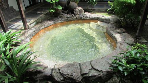 Kampong Pulau Kandis Resort | Hotel Felda Residence Hot Springs