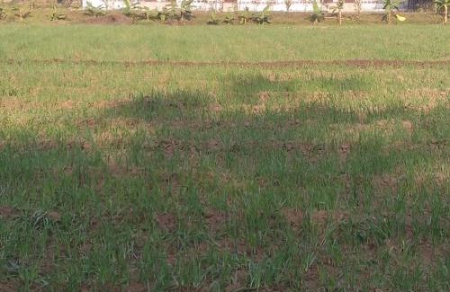 Panna Hotel | Hotel Gunj The Garden