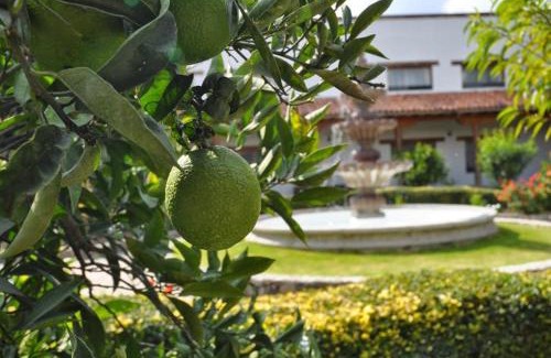 Contepec Hotel | Hotel Hacienda Cantalagua Golf