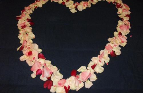 Consolacao Hotel | Hotel Hebe Peniche