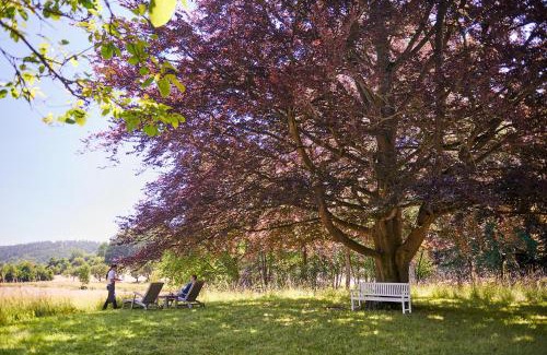 Herleshausen Hotel | Hotel Hohenhaus