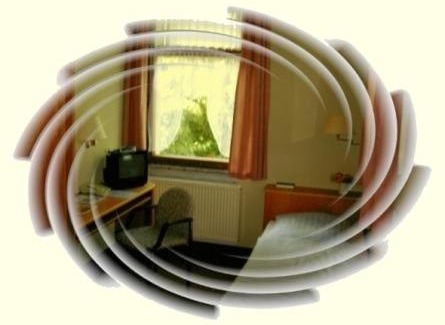 Schleiz Hotel | Hotel Luginsland