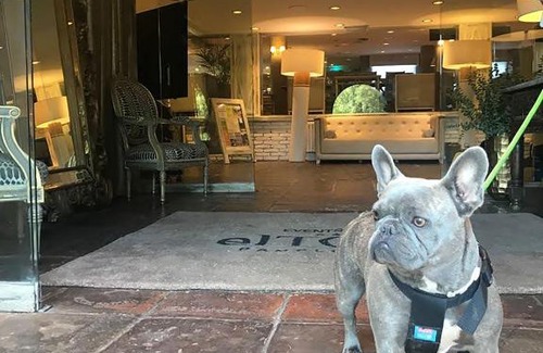 Berrioplano Hotel | Hotel Luze El Toro