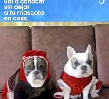 Chimbote Hotel | Hotel Mi Estrella