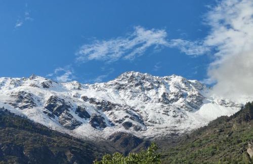 Sangla Hotel | Hotel Mount Kailash