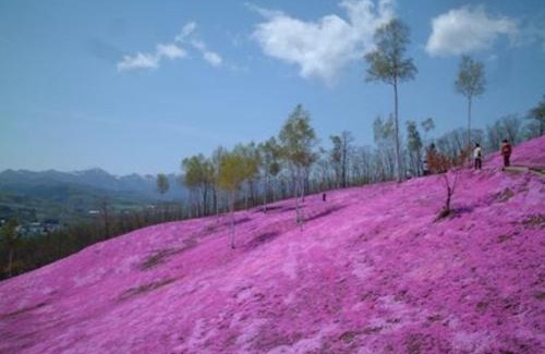 Monbetsu Hotel | Hotel Okhotsk Palace - Vacation STAY 24135v