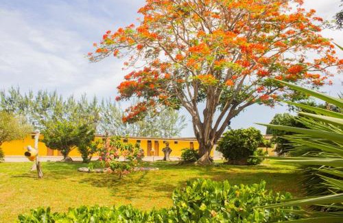 Parnamirim Hotel | Hotel Parque do Sol