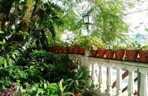 Xilitla House | Hotel Posada Casa del Ingenio