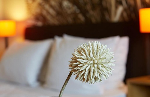 Gross Meckelsen Hotel | Hotel & Restaurant Schröder