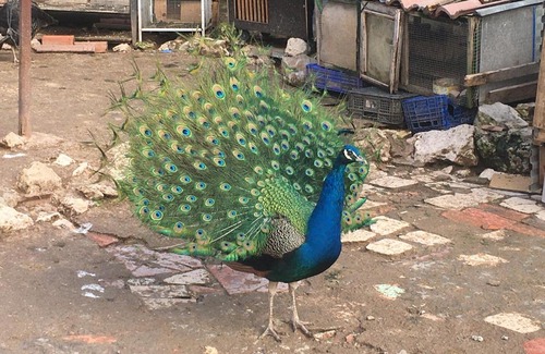 Burgomillodo House | Hotel Rural Pantano de Burgomillodo