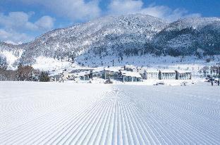 Shinano Hotel | Hotel Tangram