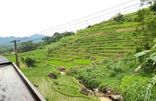 Kho Muong House | House By The Stream
