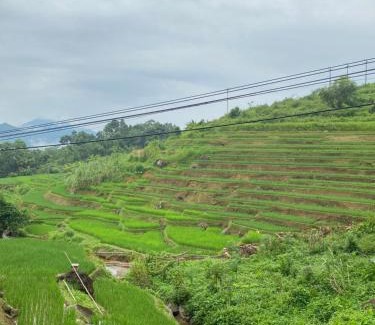 Kho Muong House | House By The Stream
