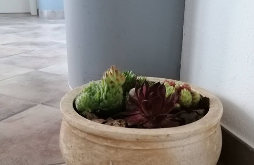 Wehretal House | House