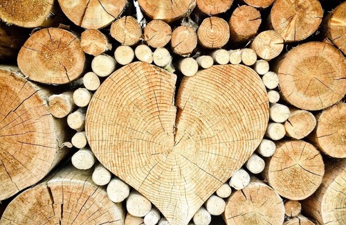 Euscheid House | HOUSE in a secluded location near Prüm, fenced garden, WiFi