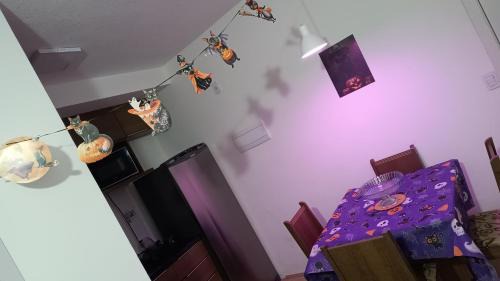 Santo Cristo Apartment | HouseCat Apartamento no Centro do Rio de Janeiro