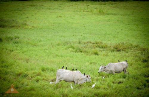 Mae Chaem House | Huen Jam Rat