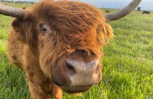 Langenhorn Apartment | Huus Marschkiek