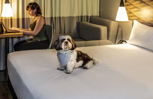 Tatuape Hotel | ibis Sao Paulo Tatuape