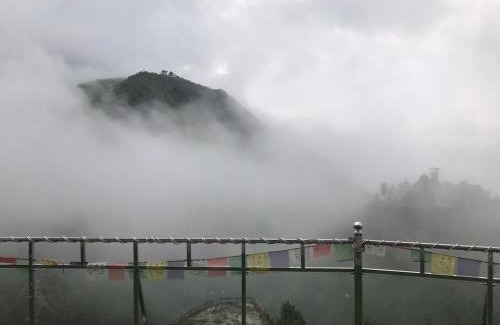 Mussoorie Hotel | Icebergs Mussoorie - A Boutique stay and 24 hrs roof top cafe