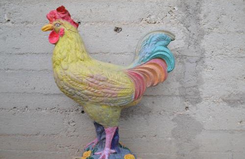 Sant'Eraclio Bed & Breakfast | Il Giardino del Gallo