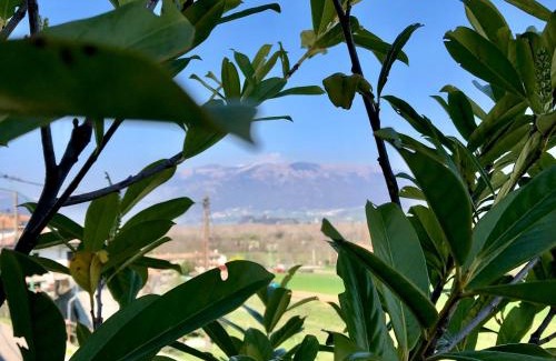 Crocetta del Montello House | Il Re Della Cantina Appartamenti