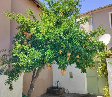 Makri Apartment | ilkay's House