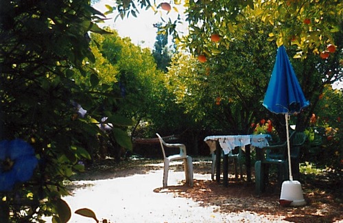 Silves House | In the heart of the orange trees of the Algarve between beach and countryside