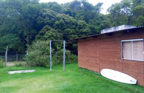 Muquem Other | Inature