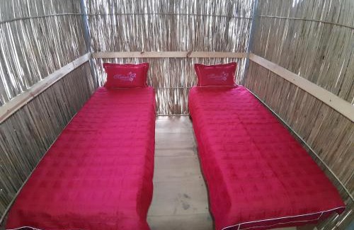 Mu Cang Chai House | Indigenous homestay- Trek- Food- Bus