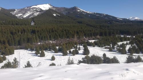 Meliquina House | Inpeuma meliquina