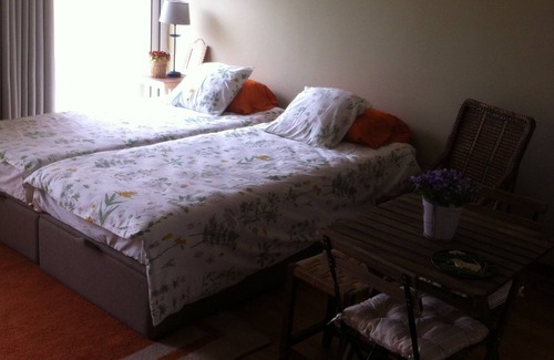 Santo Tirso Other | Integrated space on agricultural property, with private pool and tennis court