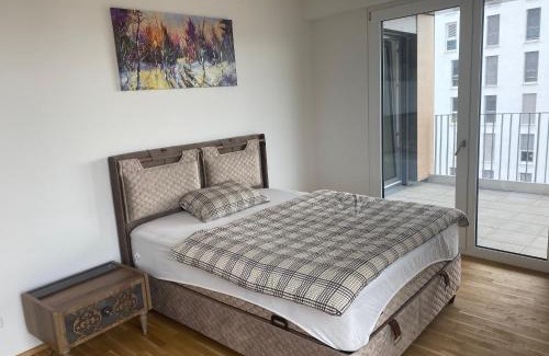 Bahnstadt Apartment | InterAssist 15