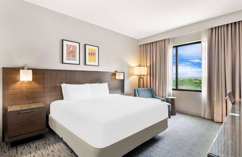 Bee Cave Hotel | Inviting Room w/Rooftop Lounge, Relaxing Outdoor Pool, & Complimentary Parking