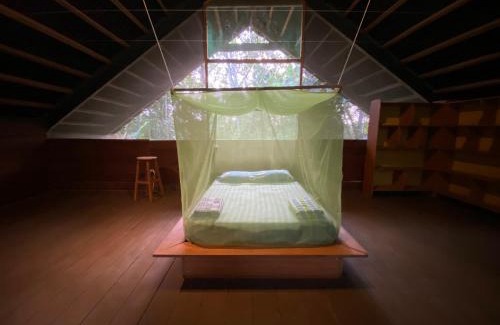 Puerto Maldonado Hostel | Isuyama Hostel