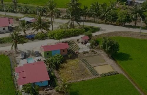 Sungai Besar Ski Chalet | Izz Homestay Sawah Padi Sungai Besar !