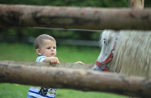 Nikolsdorf House | Jörgleggerhof