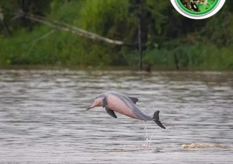 Saquena Cabin | Jairo Amazon Tours