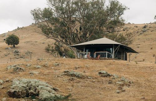 Berremangra Other | Jara II