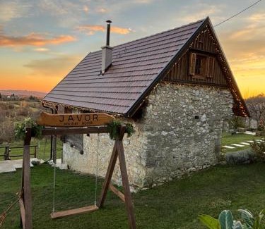 Zumberak Ski Chalet | Javor Holiday House