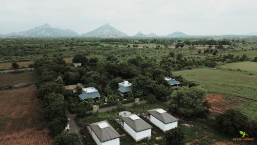 Bali House | Jawai Greens